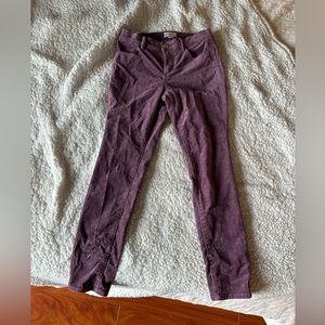 Ann Taylor Loft Modern Skinny Velvet Purple Pants